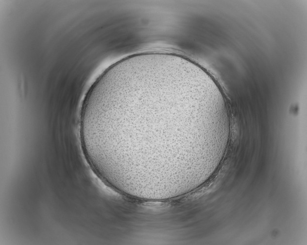 X0000097301478200803071742