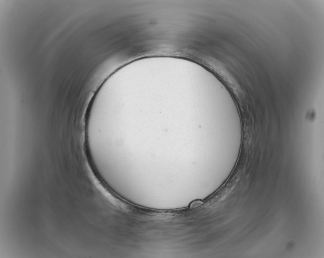 X0000097301479200803071742