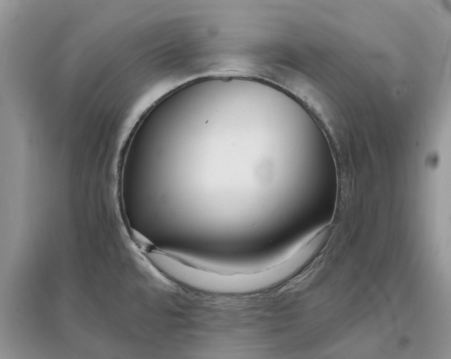 X0000097301480200803071742