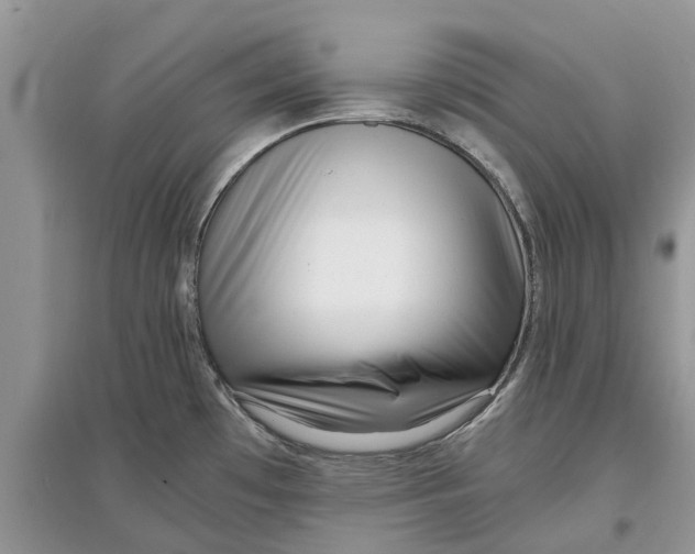 X0000097301481200803071742