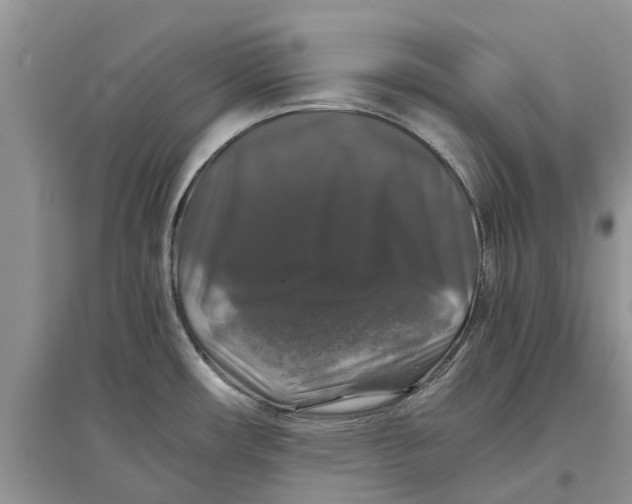 X0000097301482200803071742