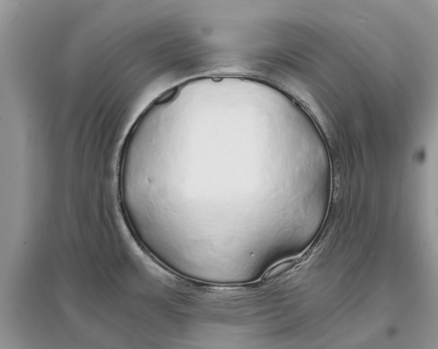 X0000097301483200803071742