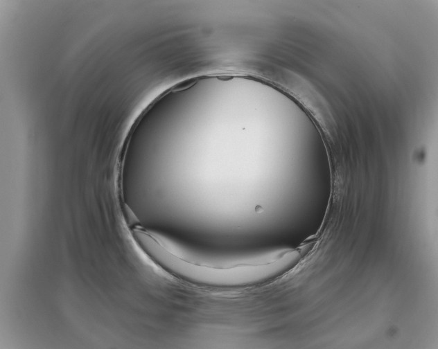 X0000097301484200803071742