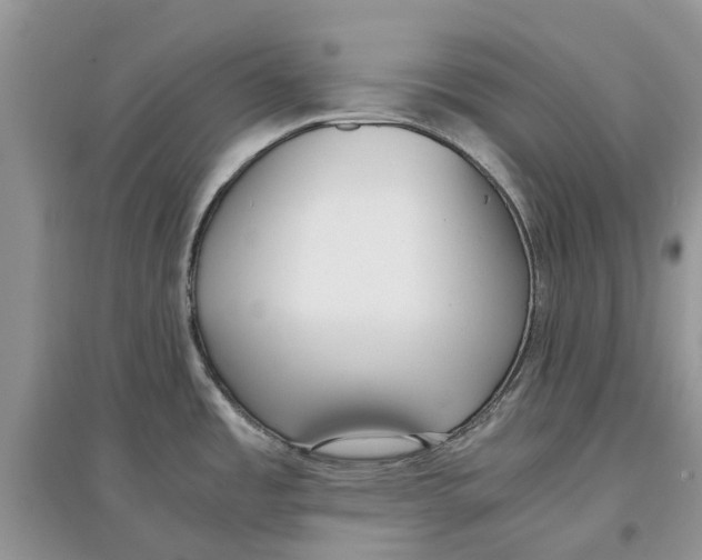 X0000097301485200803071742