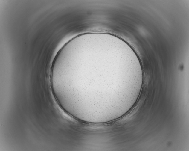 X0000097301486200803071742