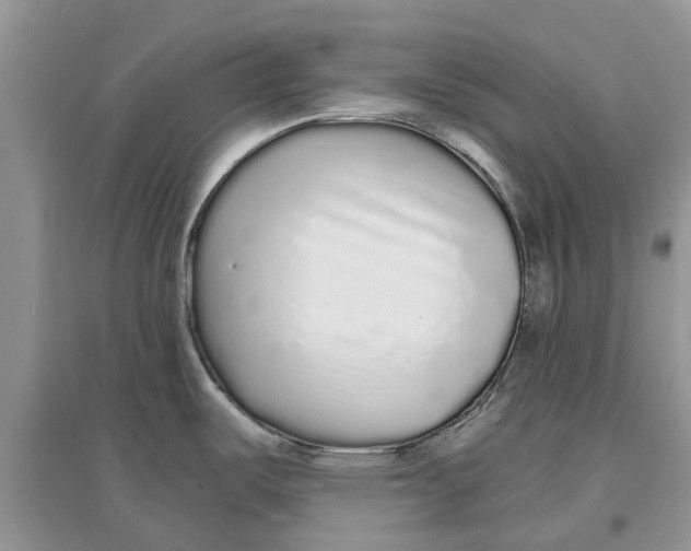 X0000097301487200803071742