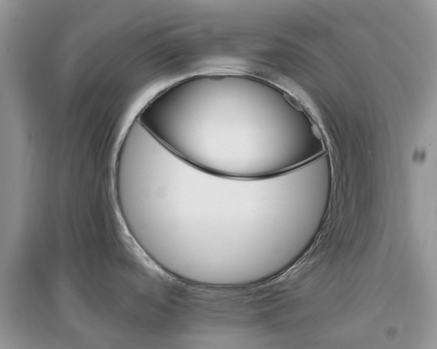 X0000097301488200803071742