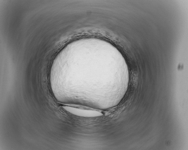 X0000097301489200803071741