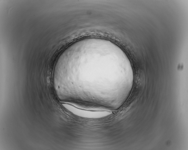 X0000097301490200803071741