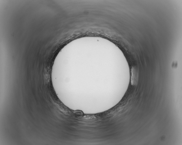 X0000097301491200803071741