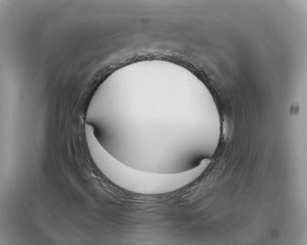 X0000097301492200803071741