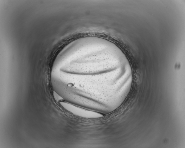 X0000097301493200803071741