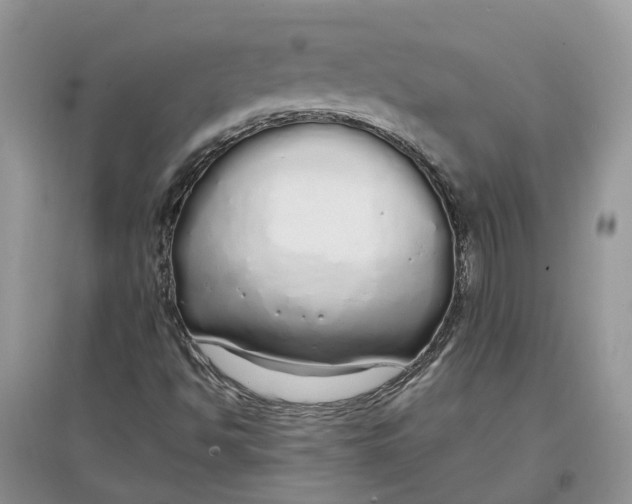 X0000097301494200803071741