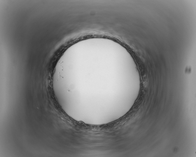 X0000097301495200803071742