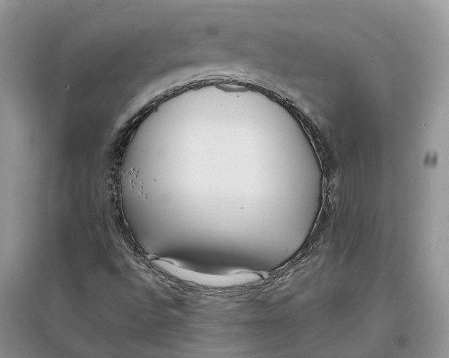 X0000097301496200803071742