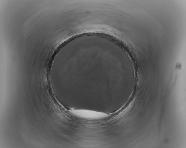 X0000097301497200803071742