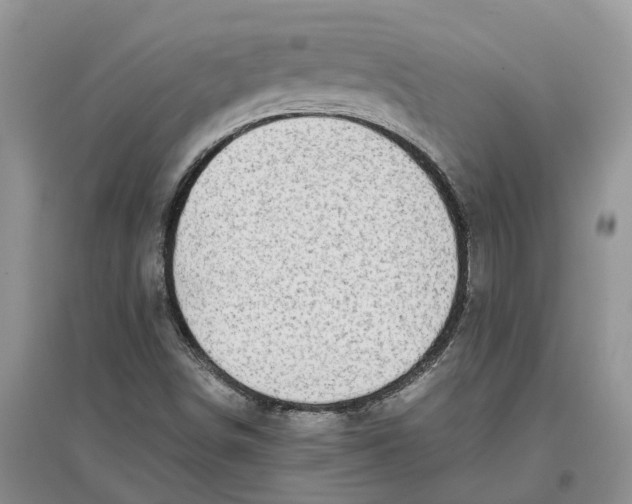 X0000097301498200803071742