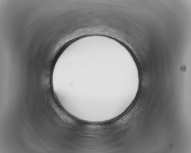 X0000097301499200803071742