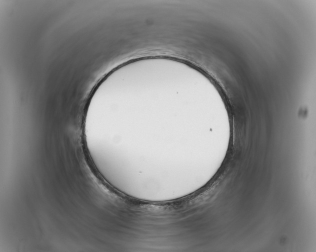 X0000097301500200803071742