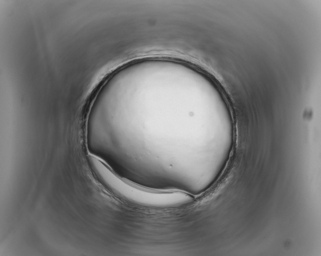 X0000097301501200803071742