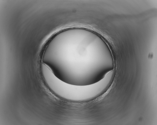 X0000097301502200803071742