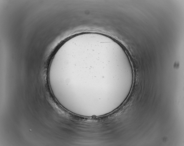 X0000097301503200803071742