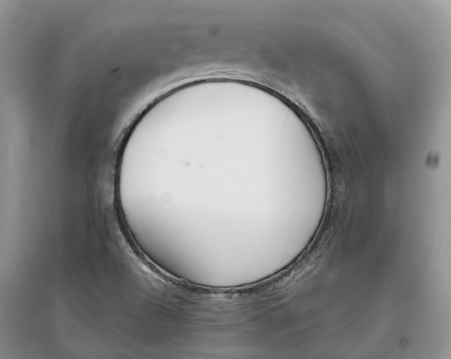 X0000097301504200803071742