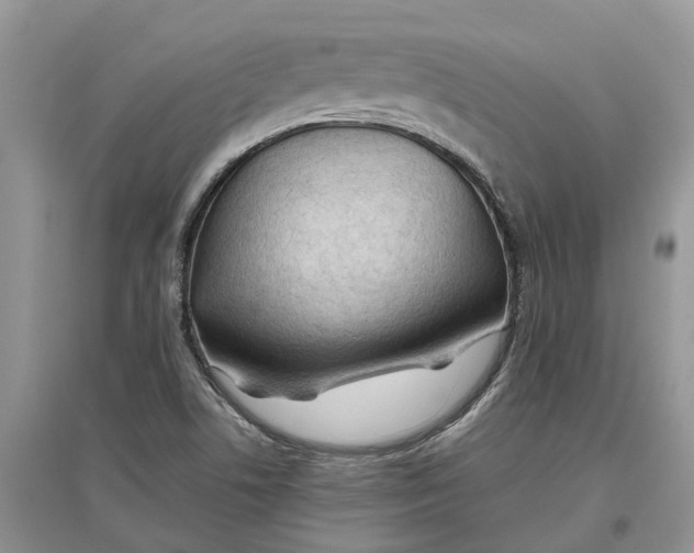 X0000097301506200803071742