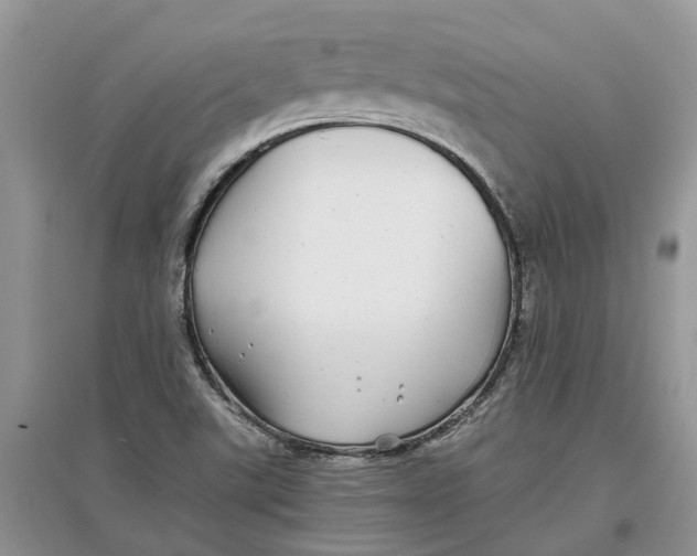 X0000097301507200803071742