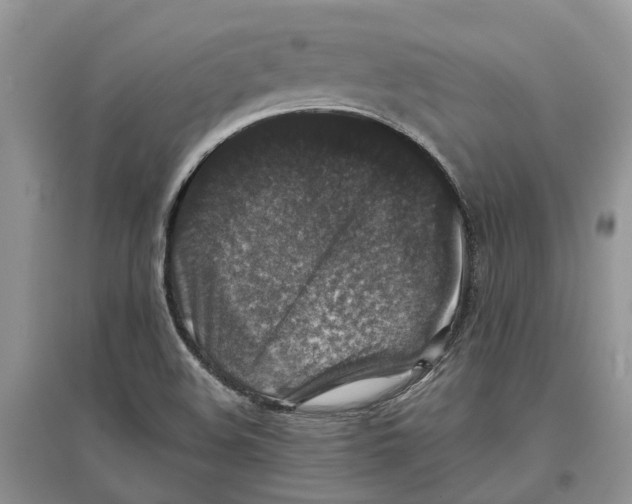 X0000097301508200803071742