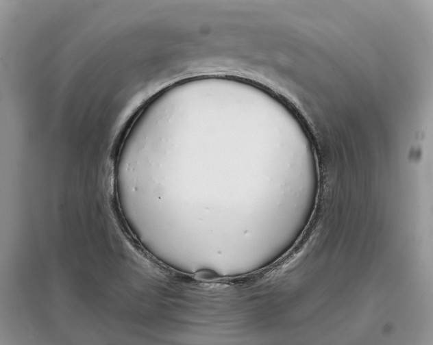 X0000097301509200803071742