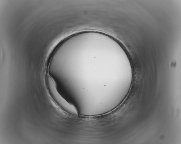 X0000097301511200803071742