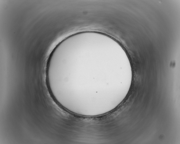 X0000097301512200803071742