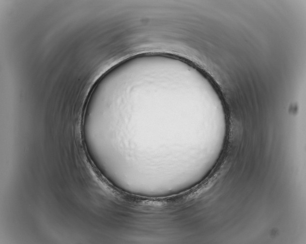 X0000097301513200803071742