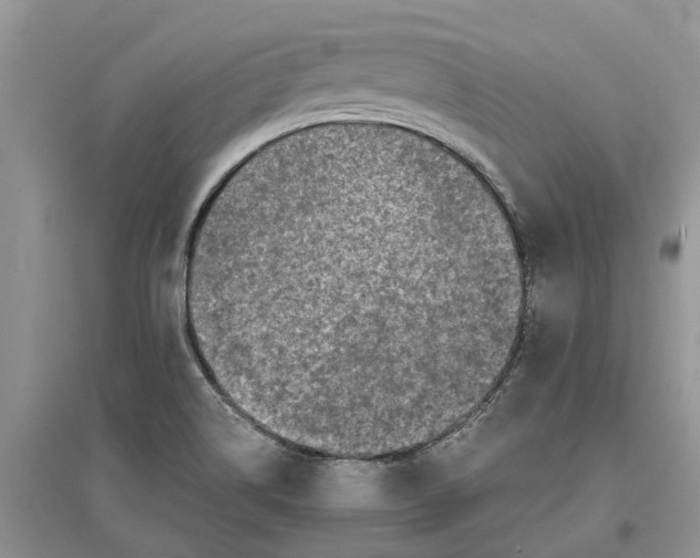 X0000097301514200803071742