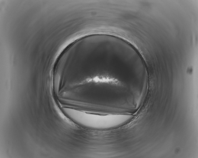 X0000097301515200803071742