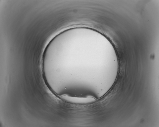 X0000097301516200803071742