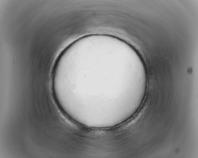 X0000097301517200803071742