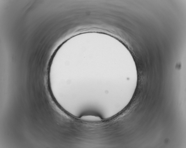 X0000097301518200803071742