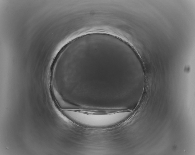 X0000097301519200803071742