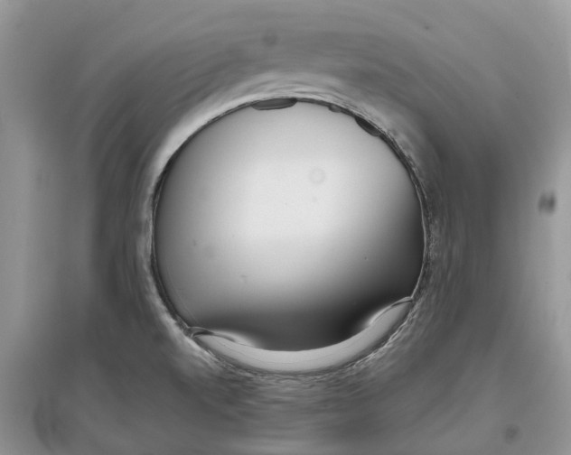 X0000097301520200803071742