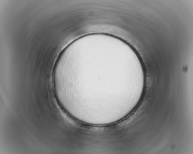 X0000097301521200803071742