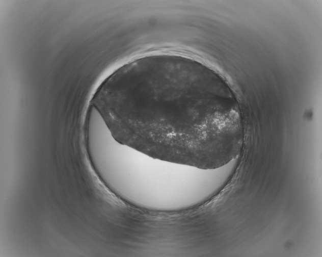 X0000097301522200803071742