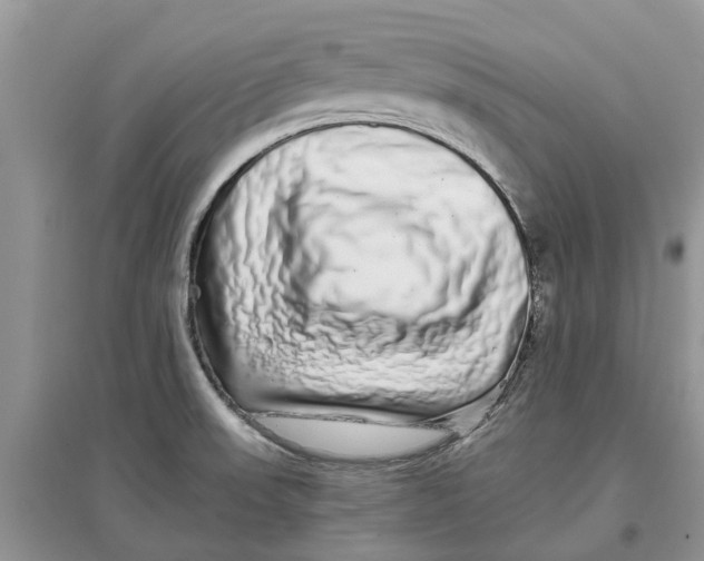 X0000097301523200803071742