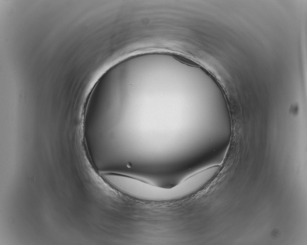 X0000097301524200803071742