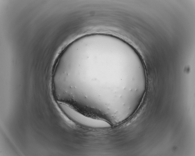 X0000097301525200803071742