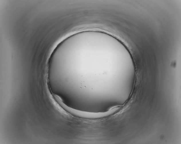 X0000097301526200803071742