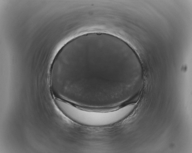 X0000097301527200803071742