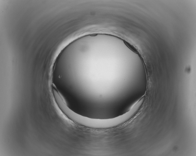 X0000097301528200803071742