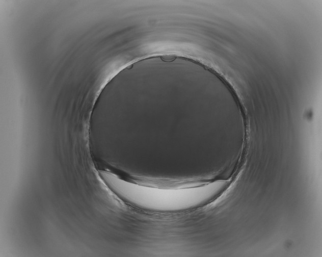 X0000097301529200803071742